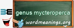 WordMeaning blackboard for genus mycteroperca